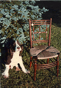 Have a Seat Canning Company